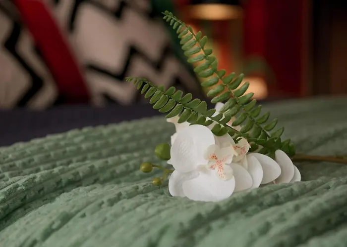 56 Direttamente Sul Mare - Red Tropical Diano Marina